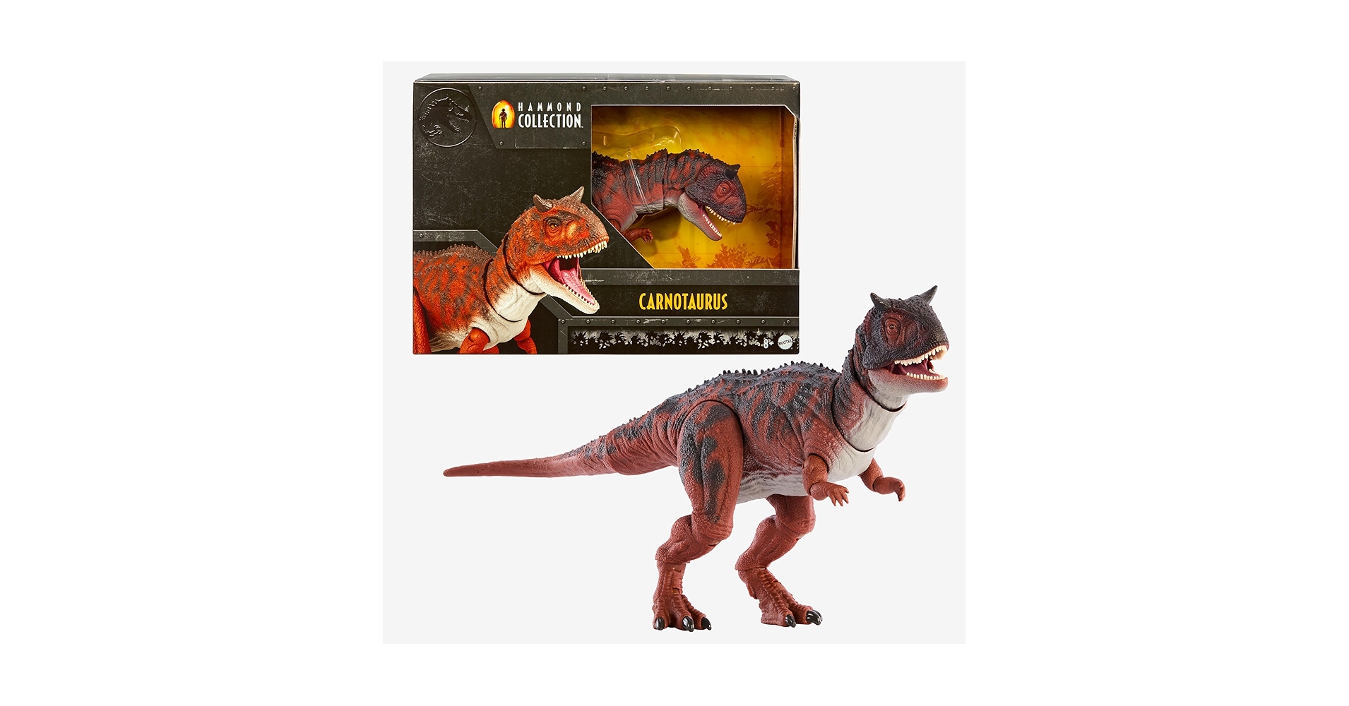 81LQ+hFvVjL.jpg_BO30,255,255,